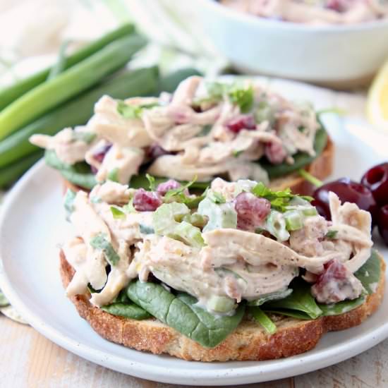 Cherry Chicken Salad Sandwich - Recipe photo by Whitney Bond