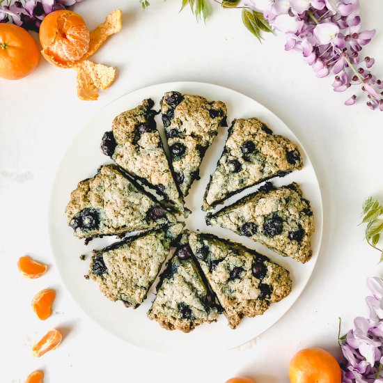 Healthy Blueberry Scones (vegan) - Recipe photo by Garlic-Head