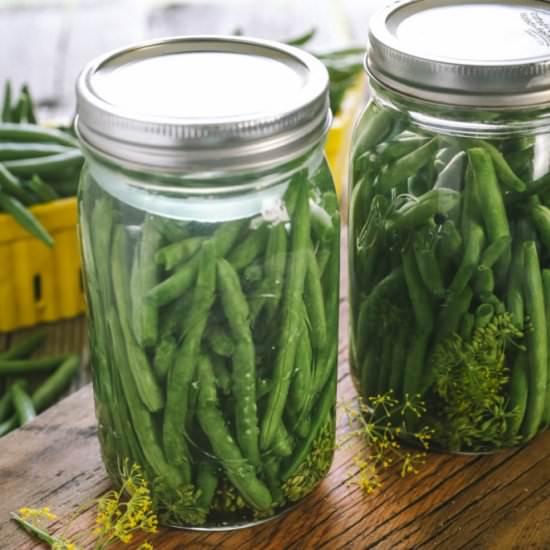 Fermented Pickled Green Beans - Recipe photo by theprairiehomestead