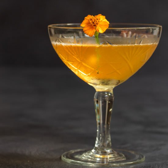 Pickle mandarin Hoop la! cocktail - Recipe photo by peck of pickles