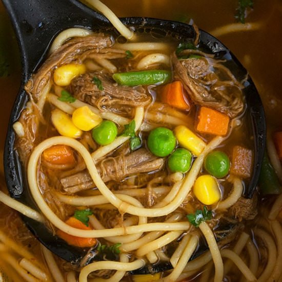 Beef Noodle Soup - Recipe photo by 1PotRecipes