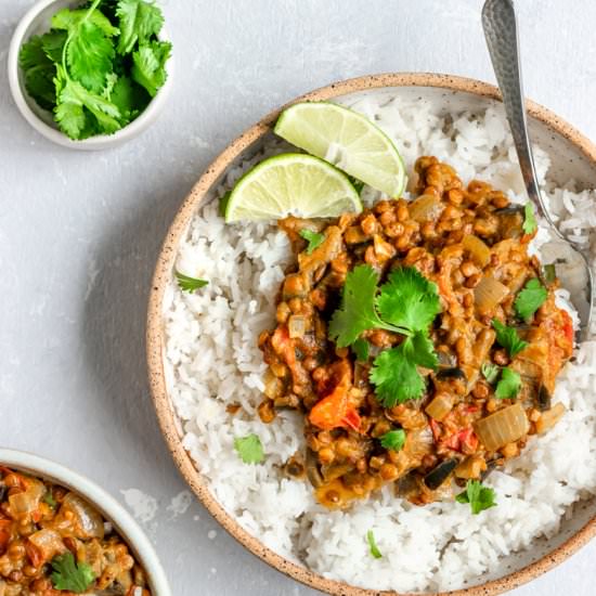 Vegan Eggplant Lentil Curry - Recipe photo by ShortGirlTallOrder