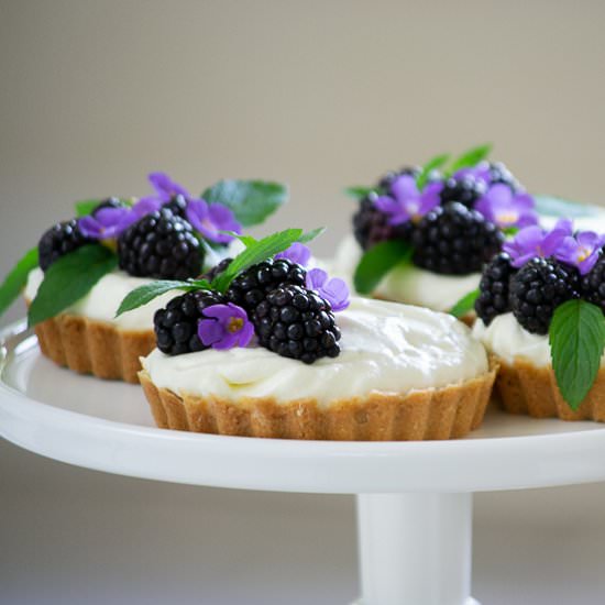 Blackberry Lime Tarts - Recipe photo by House of Elyn Ryn