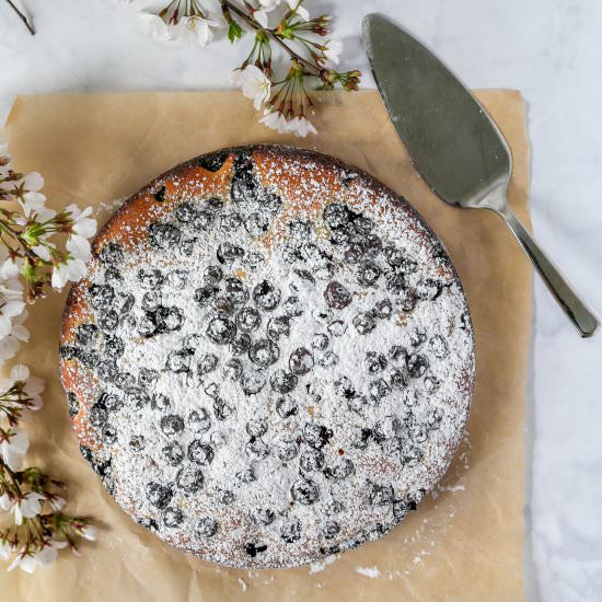Blueberry Lemon Cake - Recipe photo by Lip-SmackingFood