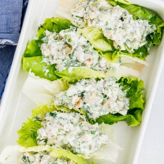 Low Carb Chicken Salad - Recipe photo by giverecipe