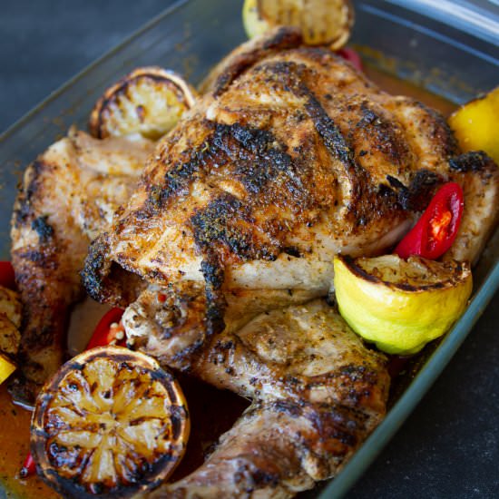 Peri-Peri Grilled Chicken - Recipe photo by darylskitchen