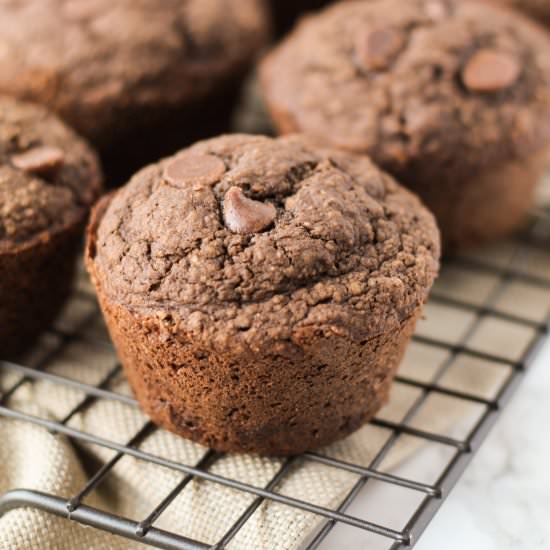 Double Chocolate Oat Muffins - Recipe photo by milehighmitts