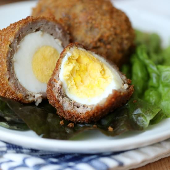 Scotch Eggs - Recipe photo by bellyfull