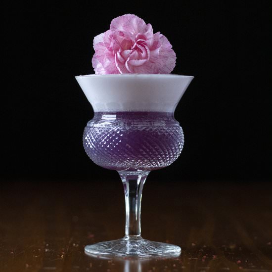 Grapefruit & Pink Pepper Gin Sour - Recipe photo by moodymixologist