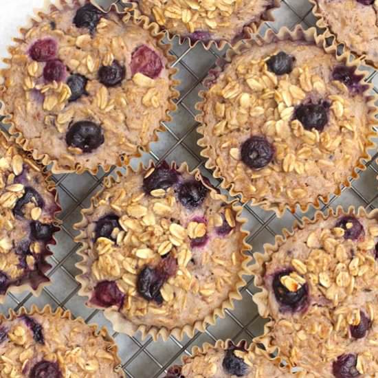 Blueberry Baked Oatmeal Cups - Recipe photo by suebeehomemaker