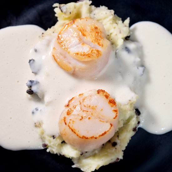 Seared scallops, roast garlic sauce - Recipe photo by delectabilia