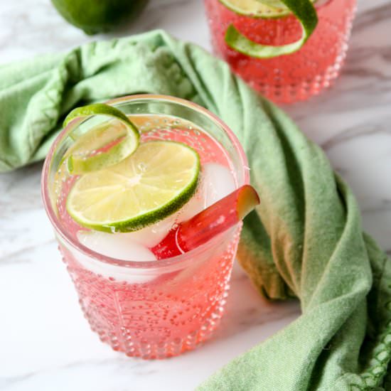 Rhubarb Gin & Tonic Cocktail - Recipe photo by the food blog
