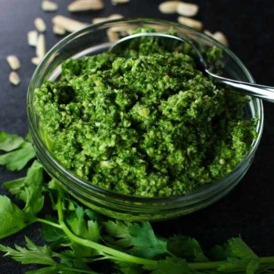 Arugula Pesto - Recipe photo by becomebetty