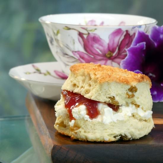 British Scones - Recipe photo by MrPuffy