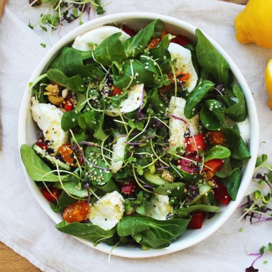 Garden mozzarella di bufala salad - Recipe photo by Beloved Kitchen