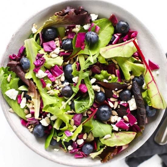 Garlic Blueberry Goat Cheese Salad - Recipe photo by Zestedlemon