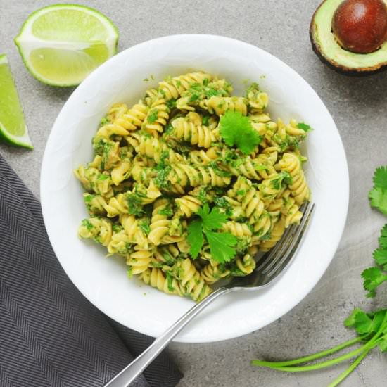 Cilantro Avocado Pesto Pasta - Recipe photo by alisonsallspice