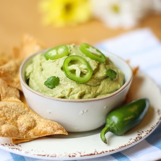 Spicy Oil Free Hummus - Recipe photo by healthymidwesterngirl