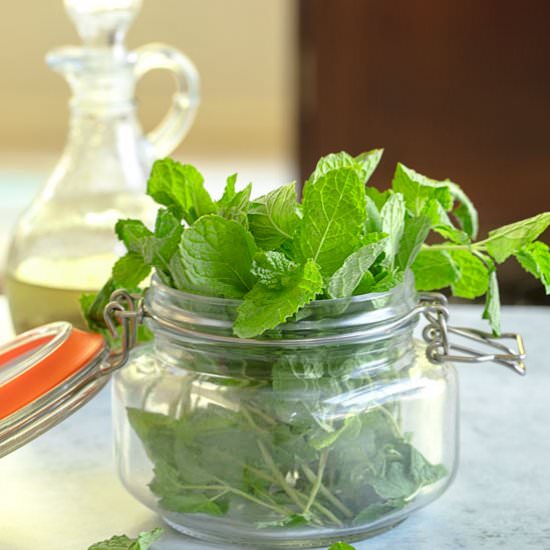 What to make with Fresh Mint - Recipe photo by healingtomato