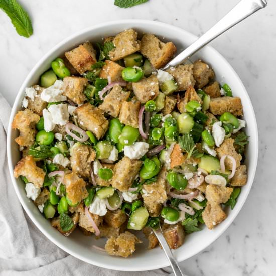 fava bean panzanella - Recipe photo by withspice