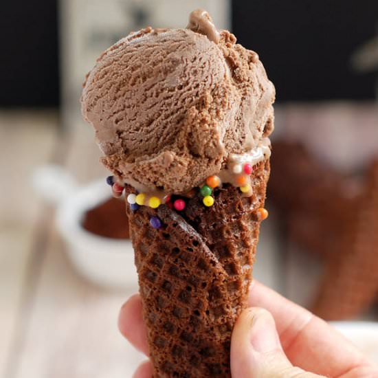 Double Malted Chocolate Ice Cream - Recipe photo by eileen.baking-sense