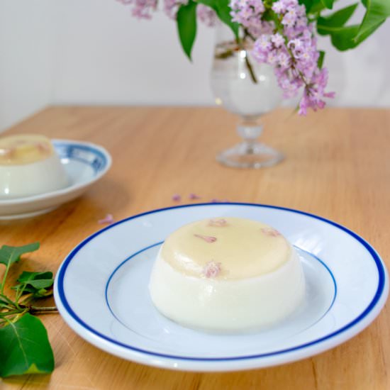 Lilac Coconut Pudding - Recipe photo by gristandgreens