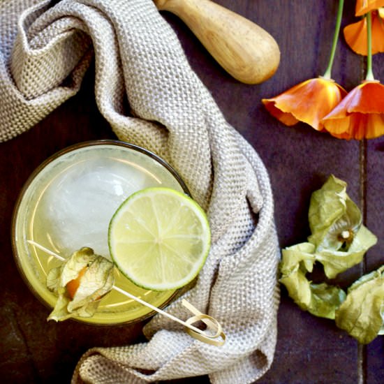 Golden Berry Gin And Tonic - Recipe photo by simmerandsauce