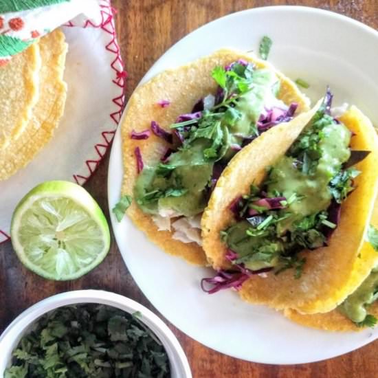 Fish Tacos with Avocado Lime Sauce - Recipe photo by scratchtobasics