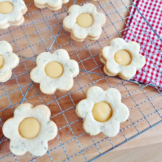 Lavender Cookies With Lemon Curd - Recipe photo by cookandfeed