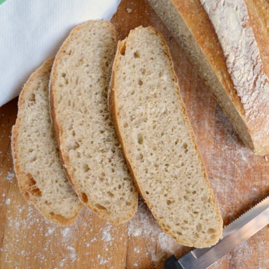 Easy Artisan Bread Recipe - Recipe photo by AnOregonCottage