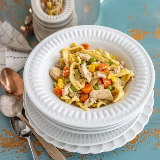 Chunky Chicken Noodle Soup - Recipe photo by Blessthismess