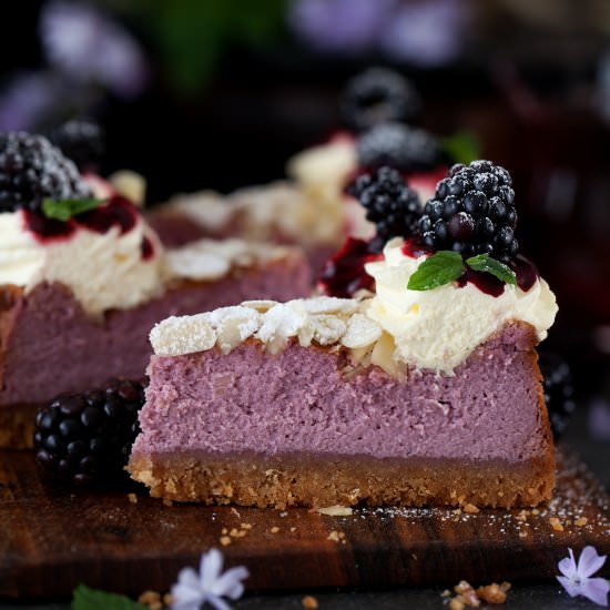 Blackberry Feta Cheesecake - Recipe photo by littlesugarsnaps