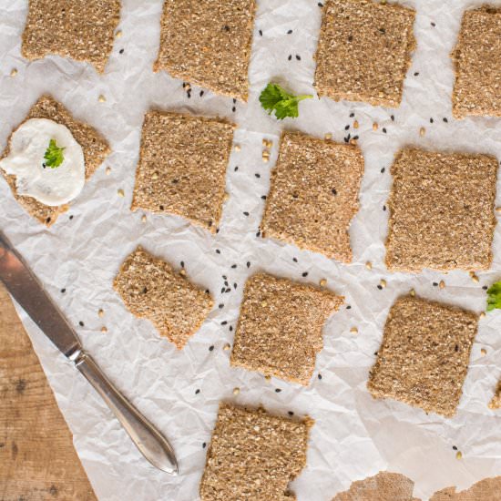 Gluten-Free Sprouted Crackers - Recipe photo by Nutriplanet