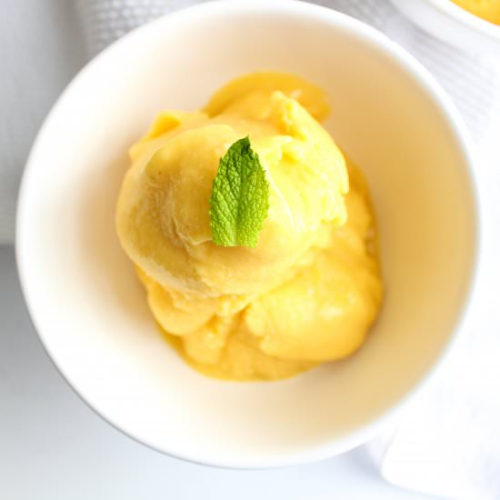Easy Mango Banana Sorbet - Recipe photo by TheBetteredBlondie