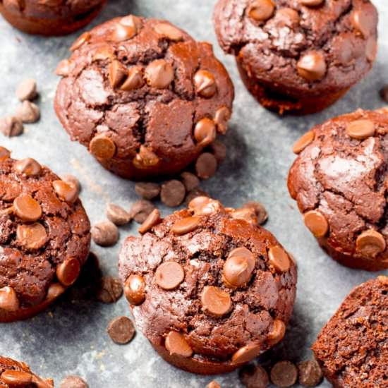 Double Chocolate Muffins - Recipe photo by bakerbettie