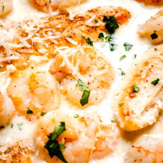 Chicken and Shrimp Alfredo - Recipe photo by MunchkinTime