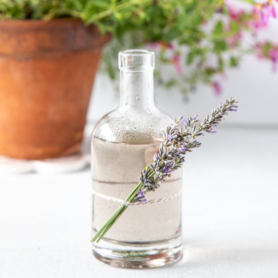 Lavender Simple Syrup - Recipe photo by sidewalkshoes
