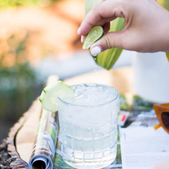 Cucumber Gin and Tonic Cocktail - Recipe photo by Birdie Shoots