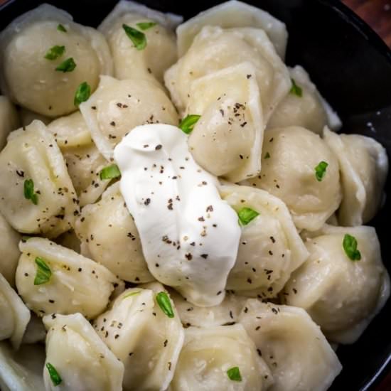 Chicken Pelmeni (Russian Dumplings) - Recipe photo by letthebakingbegin