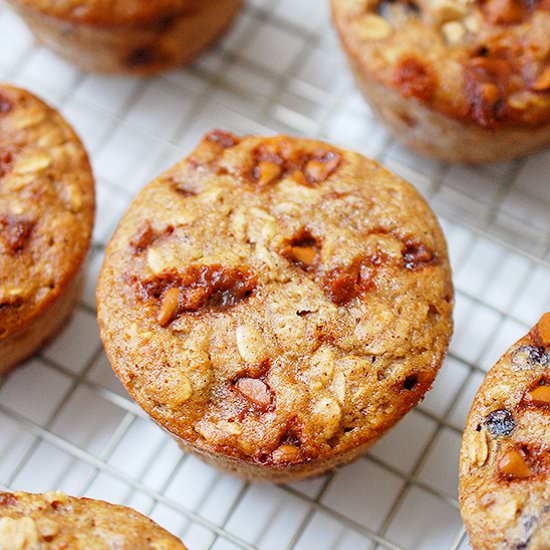 Oatmeal raisin cinnamon chip muffin - Recipe photo by evabakes