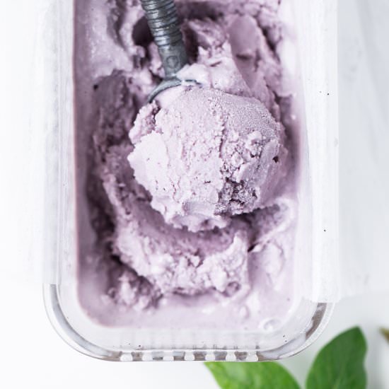 Blueberry Lemon Gelato - Recipe photo by ONEarmedMAMA