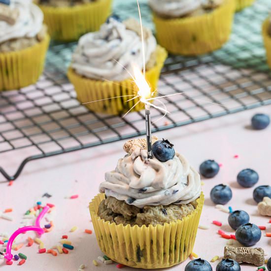 Blueberry Birthday Pupcakes - Recipe photo by SprinklesandSeaSalt