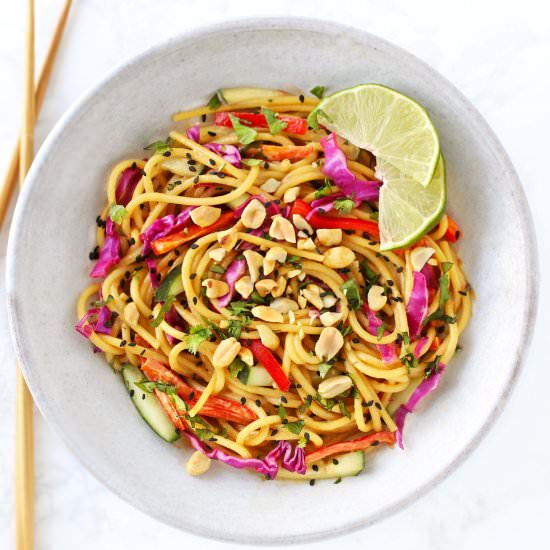 Cold Thai Noodle Salad - Recipe photo by Zestedlemon