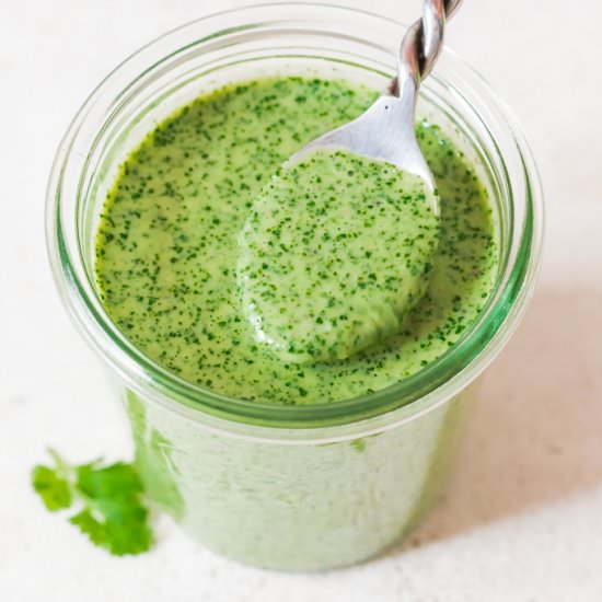Creamy Cilantro Sauce - Recipe photo by currytrail
