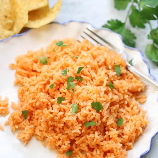 Vegan Mexican Rice - Recipe photo by veganblueberry