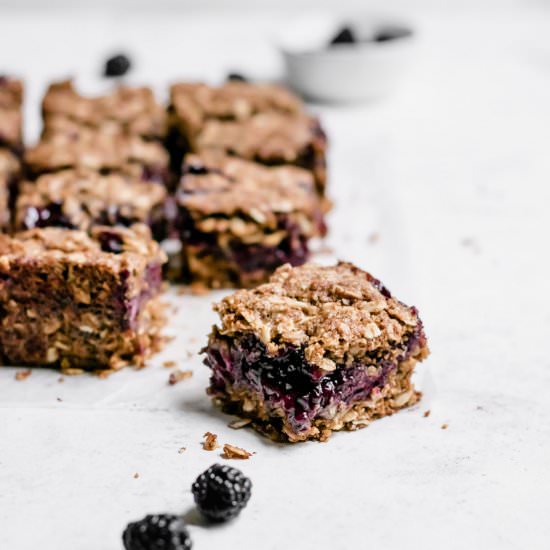 Vegan Blackberry Crumb Bars - Recipe photo by wellfedsoul