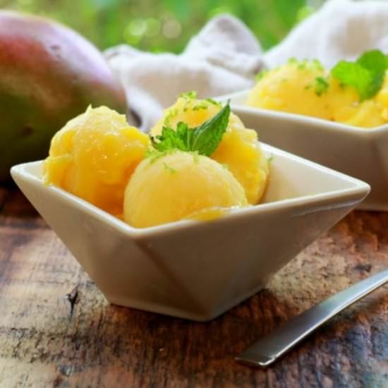 Easy Mango Coconut Sorbet - Recipe photo by asiancaucasian