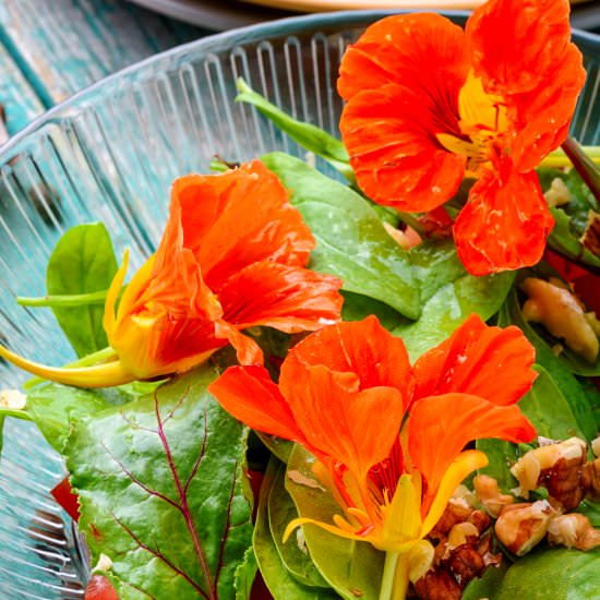 Nasturtium FlowerSalad - Recipe photo by peasantsdaughter