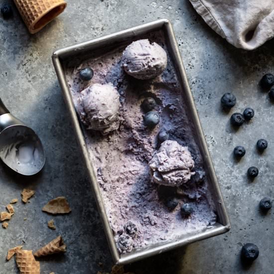 Blueberry Ice Cream - Recipe photo by cooking_therapy
