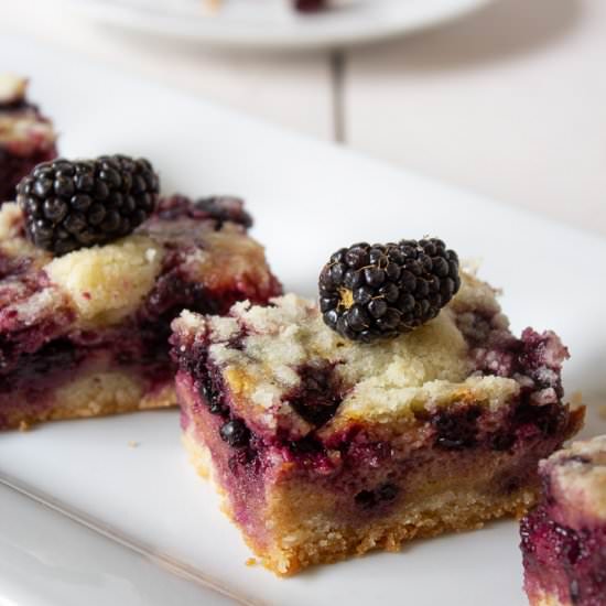 Blackberry Pie Bars - Recipe photo by BeyondtheCoop